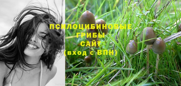 тгк Баксан