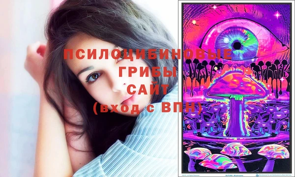тгк Баксан