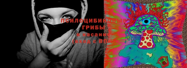 тгк Баксан