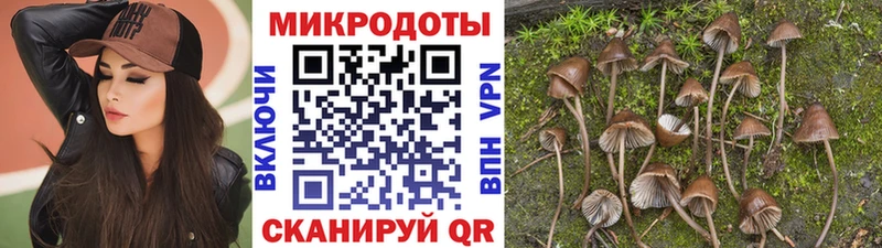 Галлюциногенные грибы ЛСД  Корсаков 